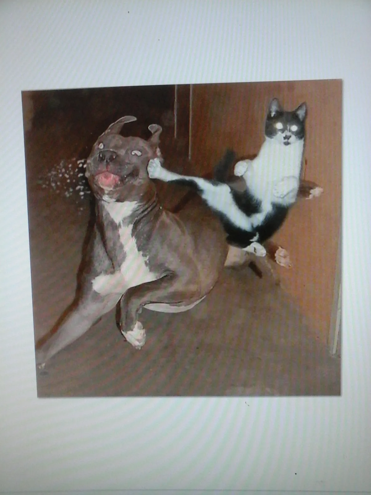 Hiiiigh Kick