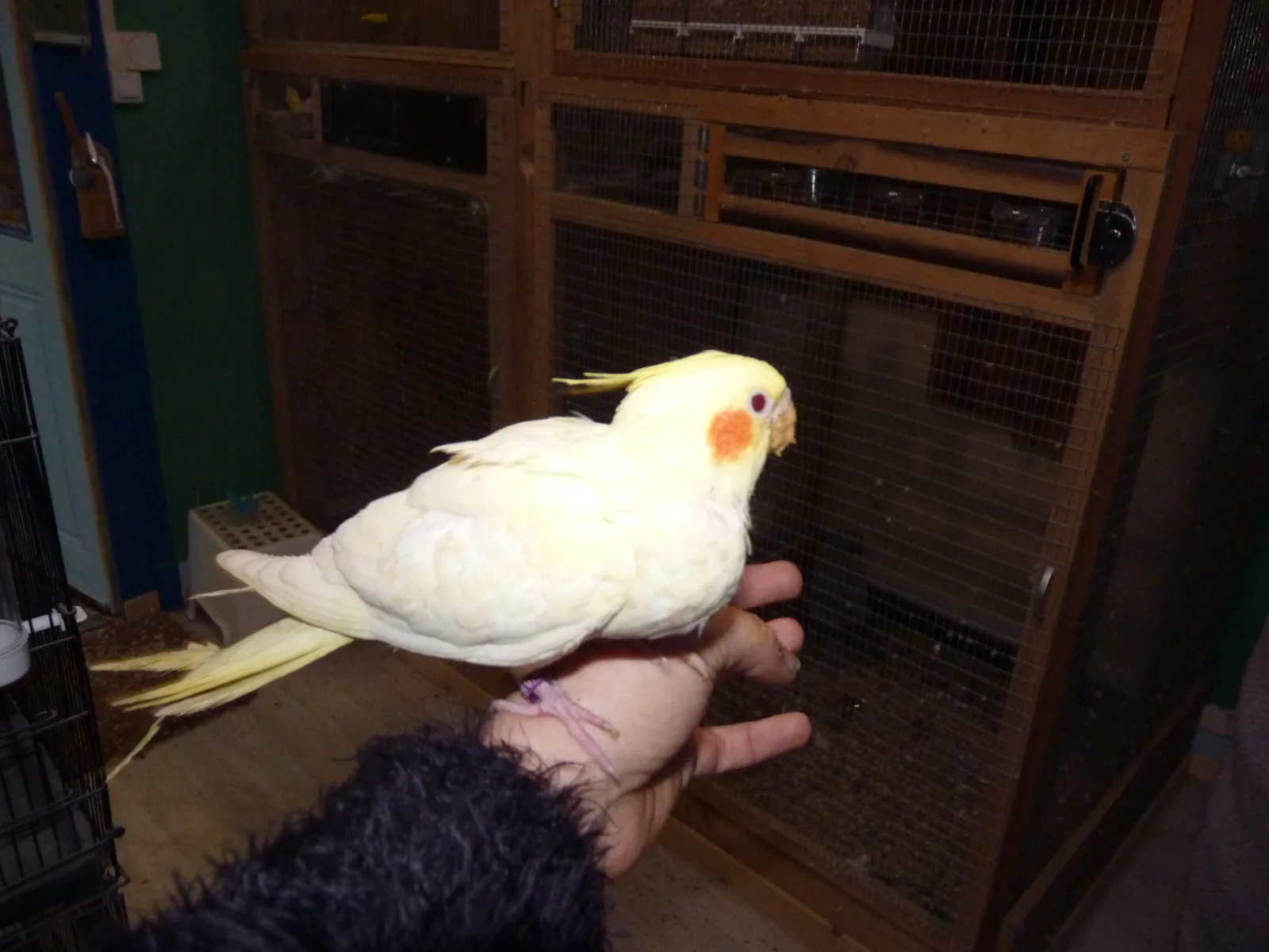 Yellow