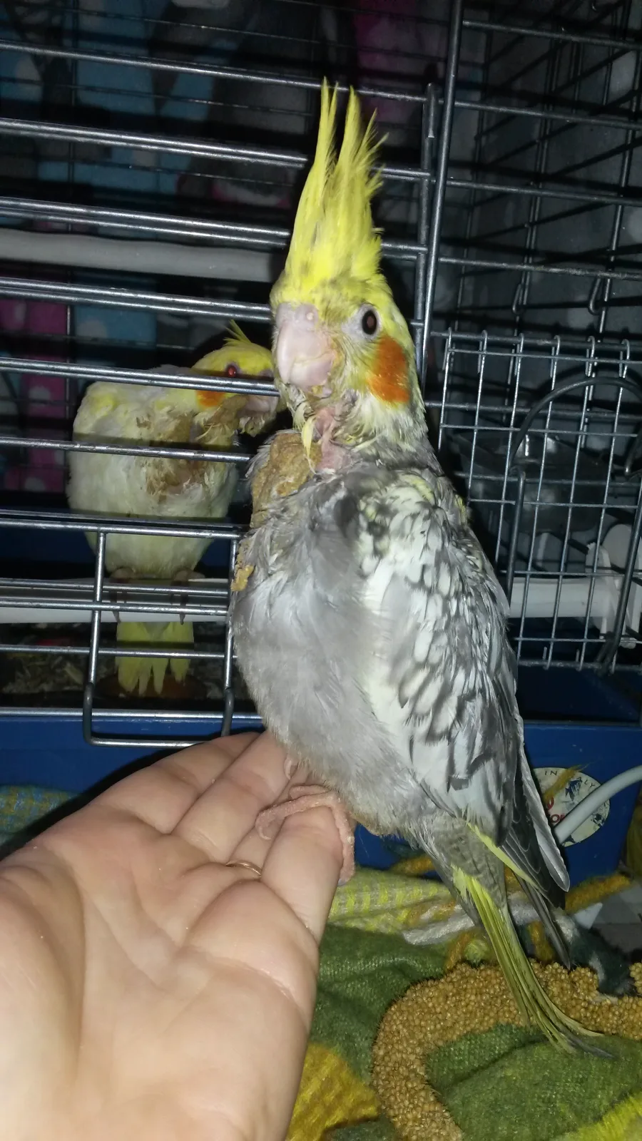 Spike