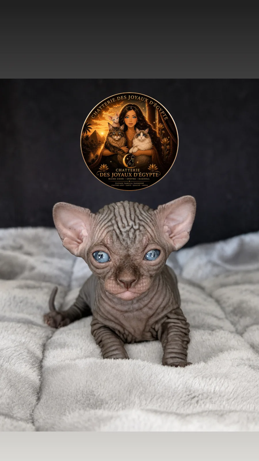 Bastet