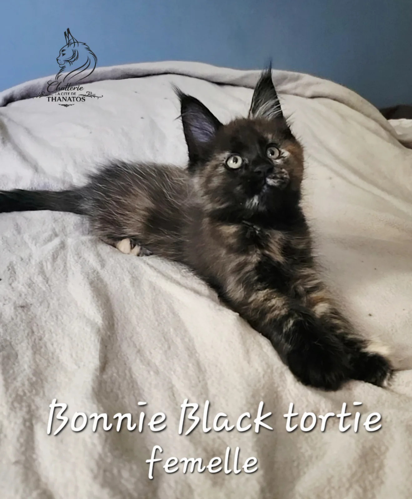 Bonnie de la cité de Thanatos