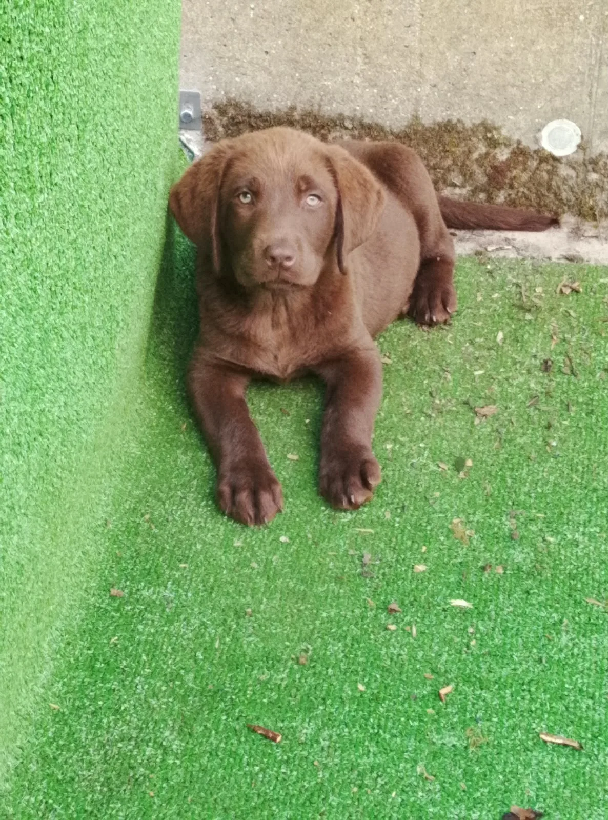 Bébé 1