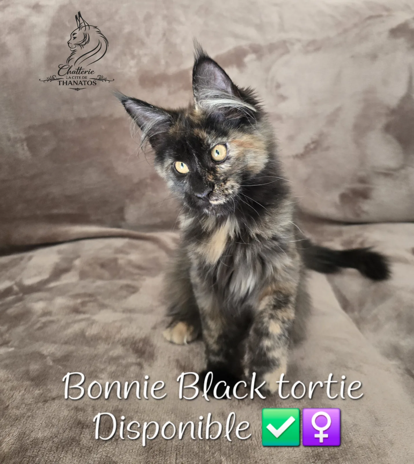 Bonnie de la cité de Thanatos
