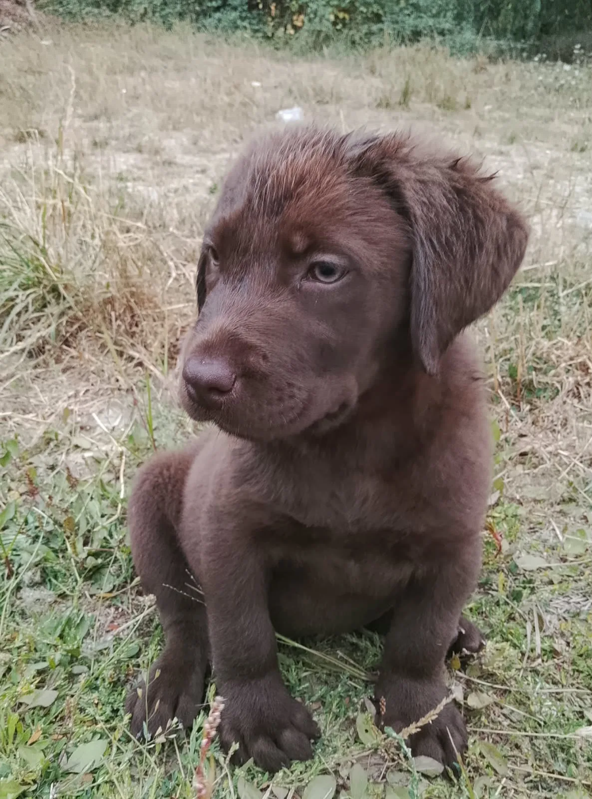 Bébé 1
