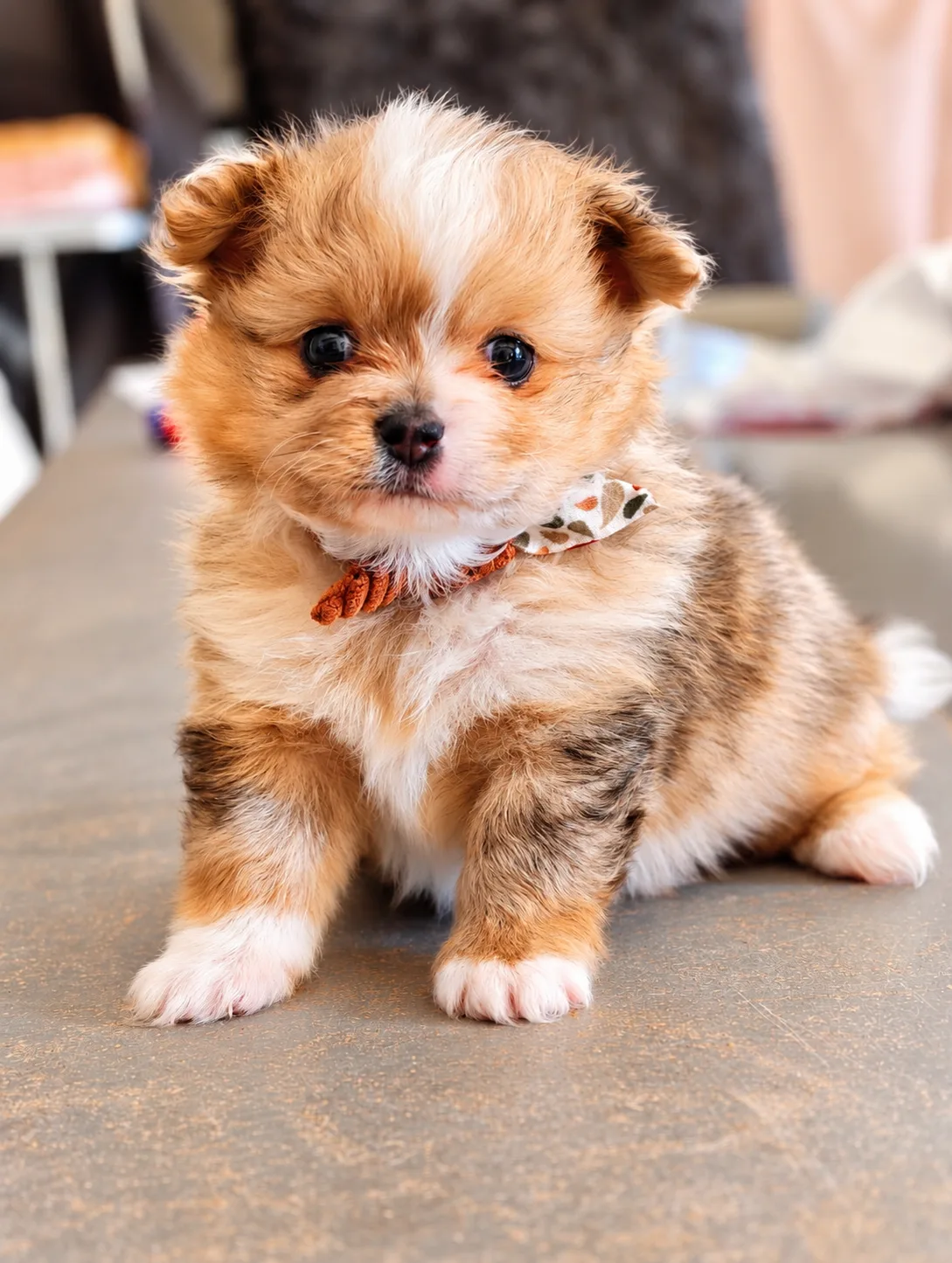 Baxter