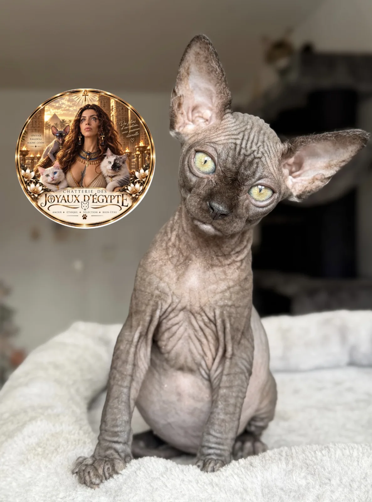 Bastet