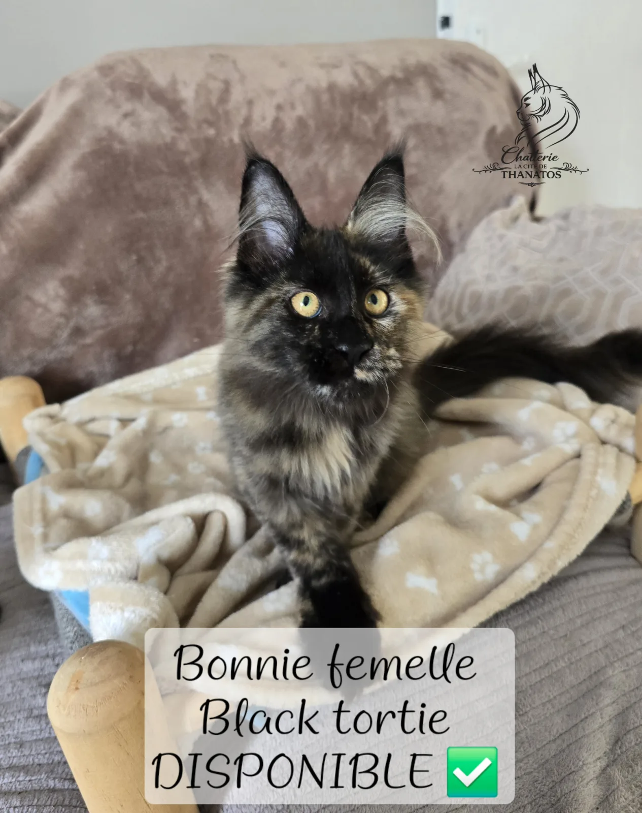 Bonnie de la cité de Thanatos