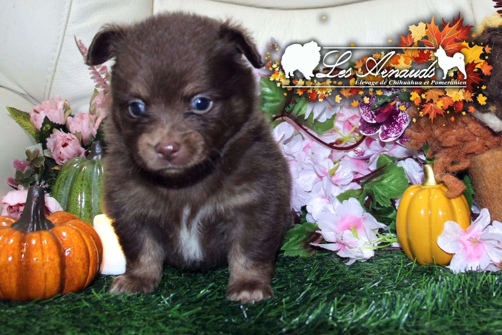 B....