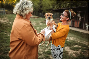 Adopter en refuge : les questions à se poser