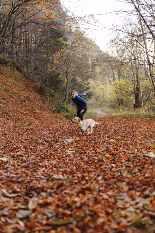 Automne : les dangers de saison pour votre animal