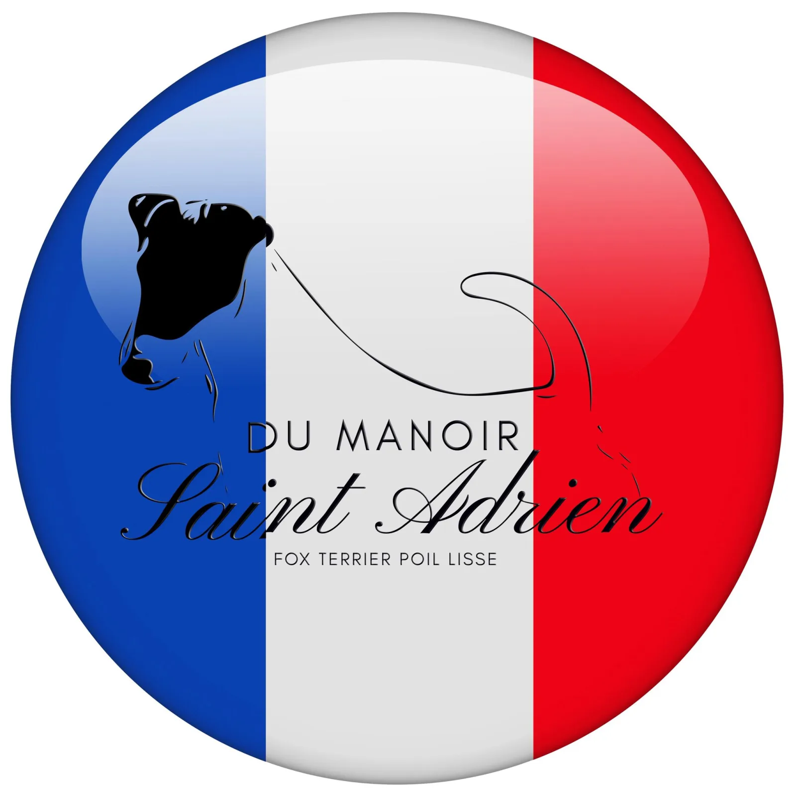 DU MANOIR SAINT ADRIEN
