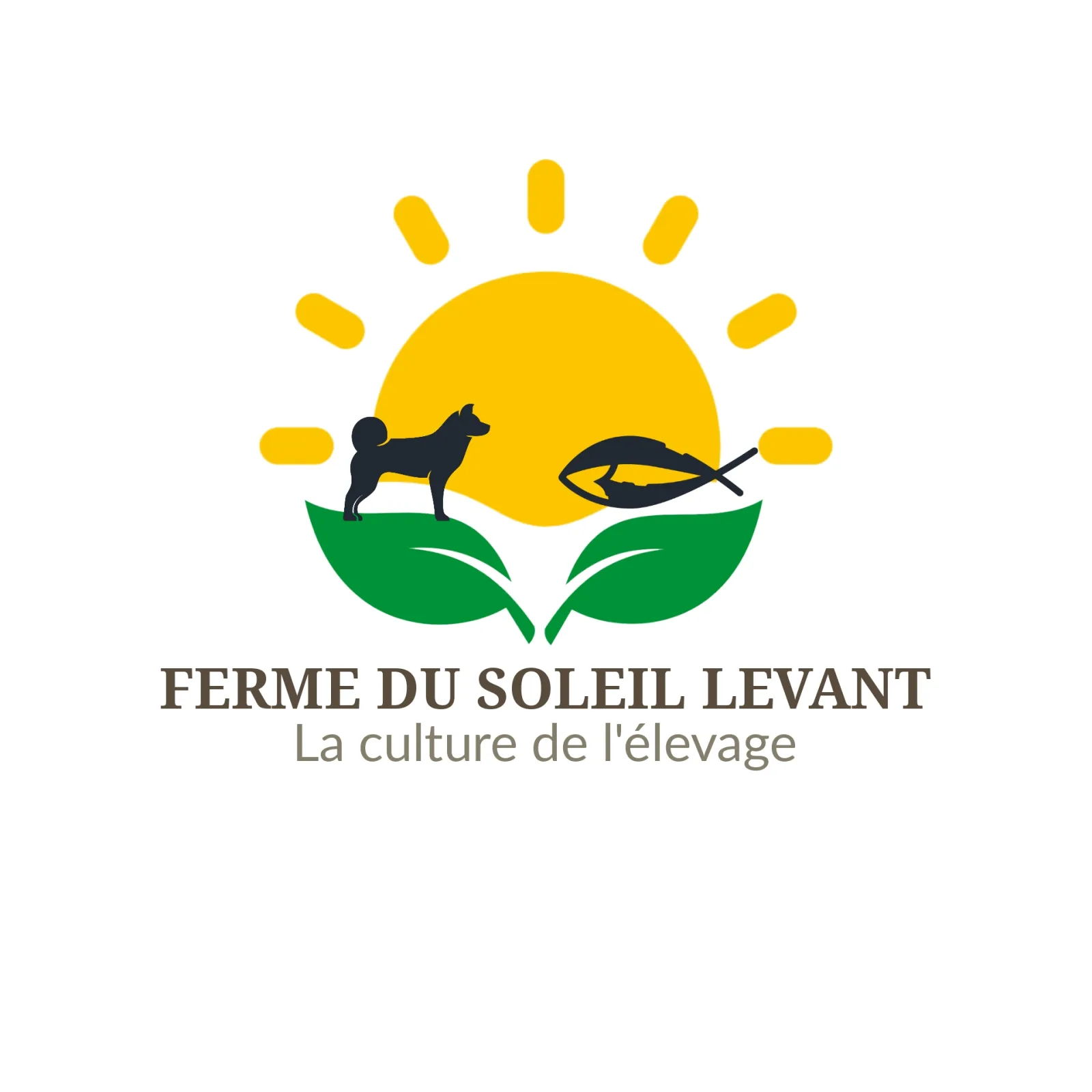 Ferme Du Soleil Levant