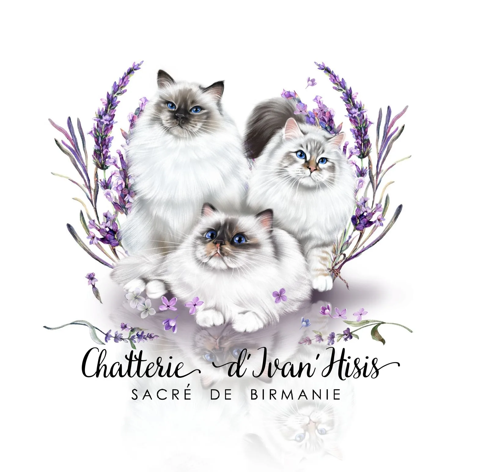 Chatterie d'Ivan’hisis