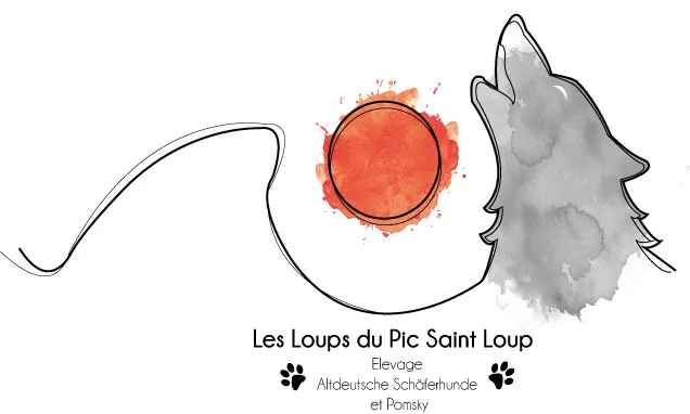Les Loups du Pic Saint-Loup