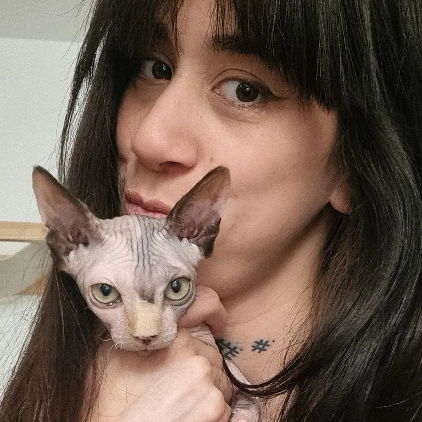 Linh et ses Sphynx
