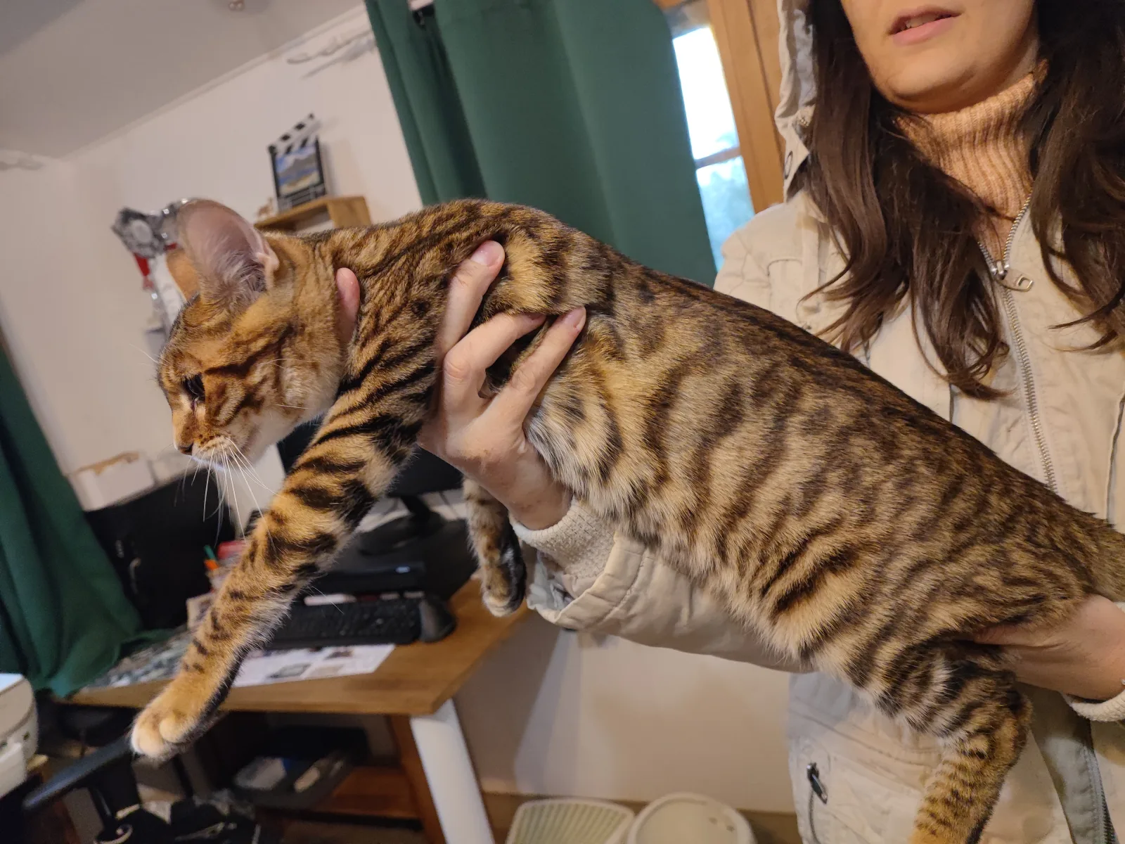 Wysswand TaÏka of Galactic Bengal