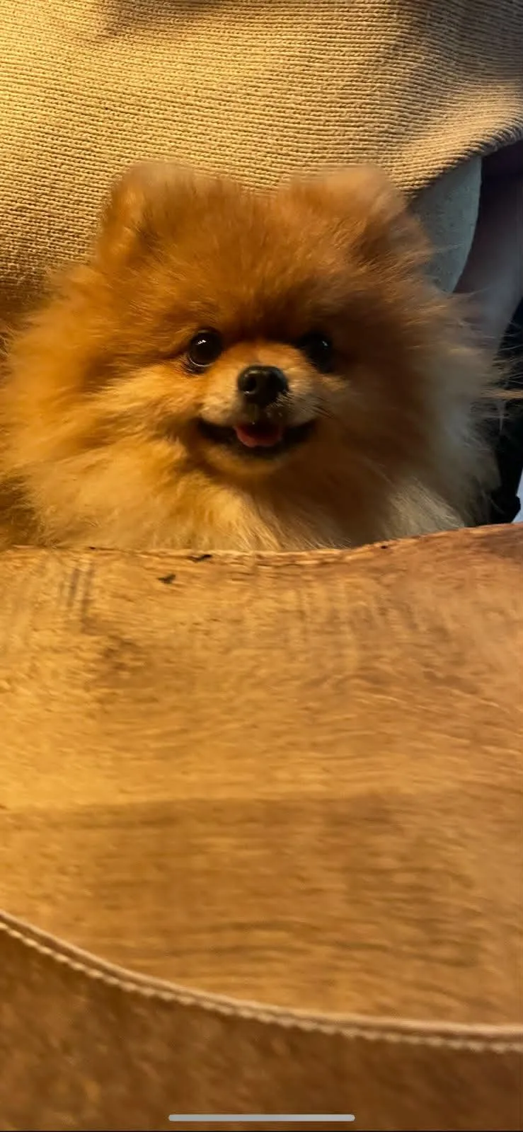 Noble prince