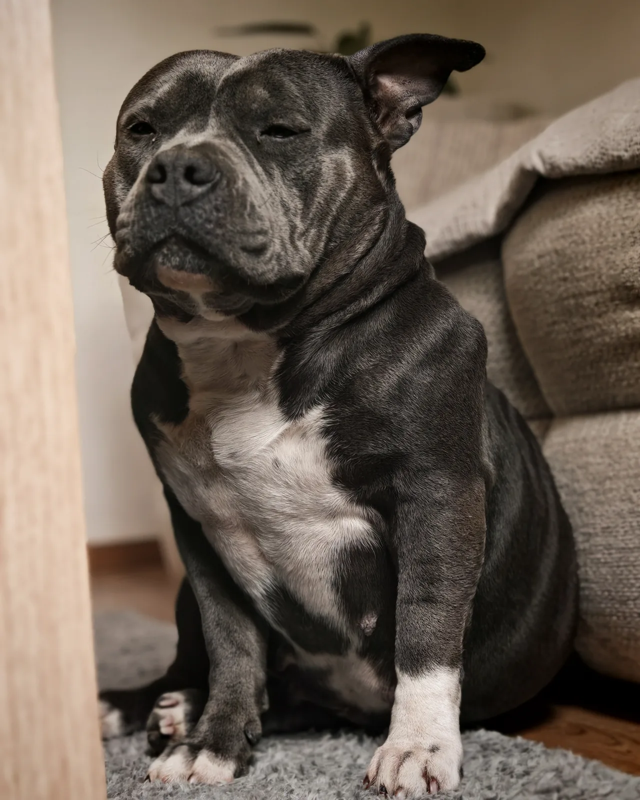 RMD Kennel Karma
