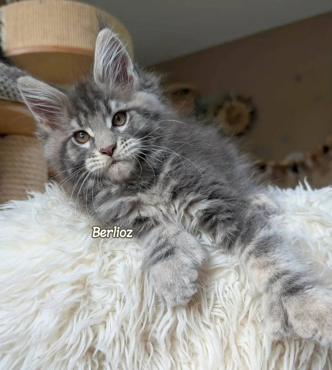 Berlioz