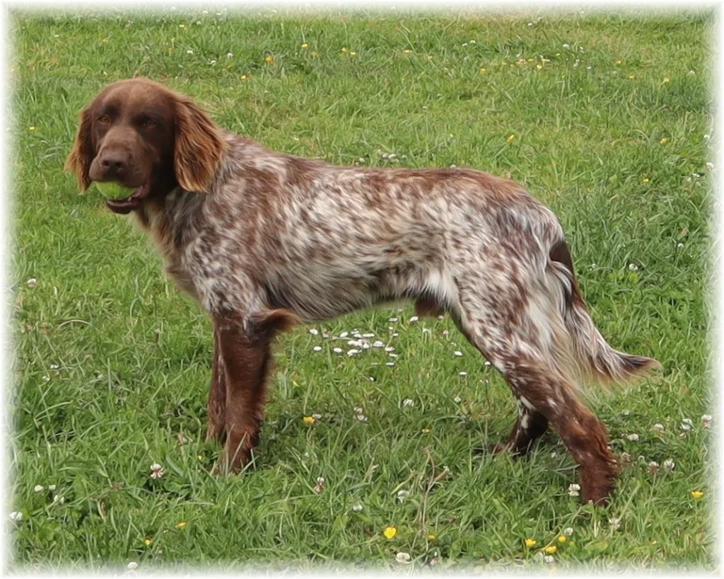 Utah Du Clos De L'Épte